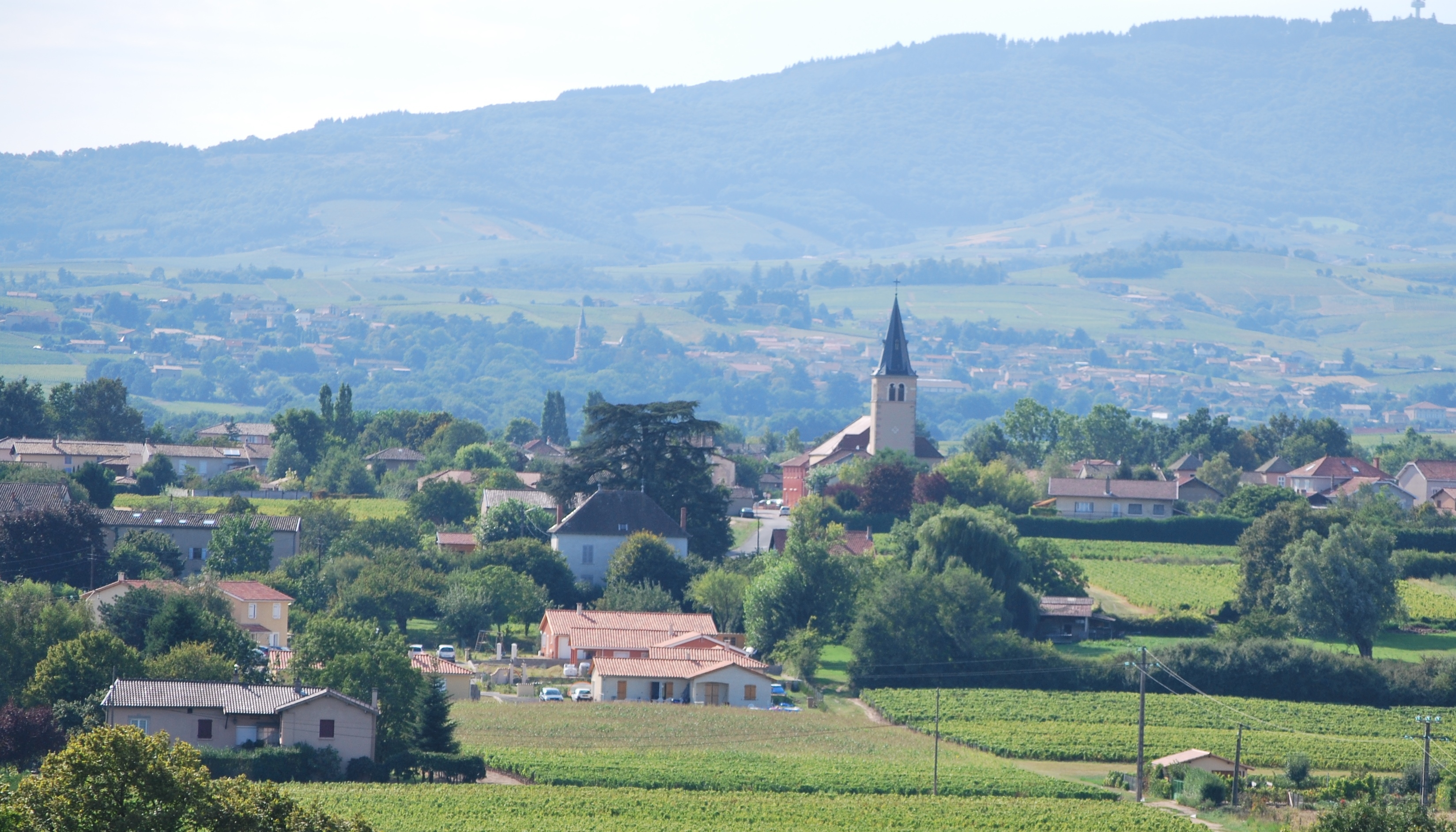 Vue panoramique du Domaine J.Boulon à Corcelles-en-Beaujolais